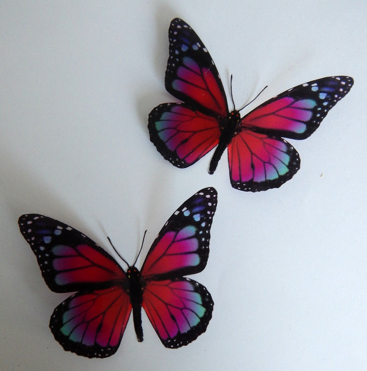 Monarch Wall butterflies,6 3d Pink Monarch Butterfly Wall Art. Home Decorations Wall Art