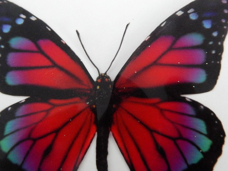 Pink red wall sticker pretty butterfly