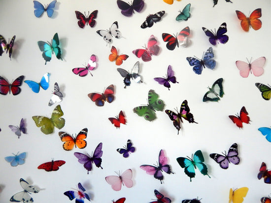Escape to the Chateau butterfly collection