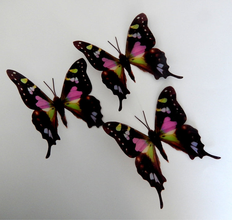 Spotted Swallow tail by flutterframes