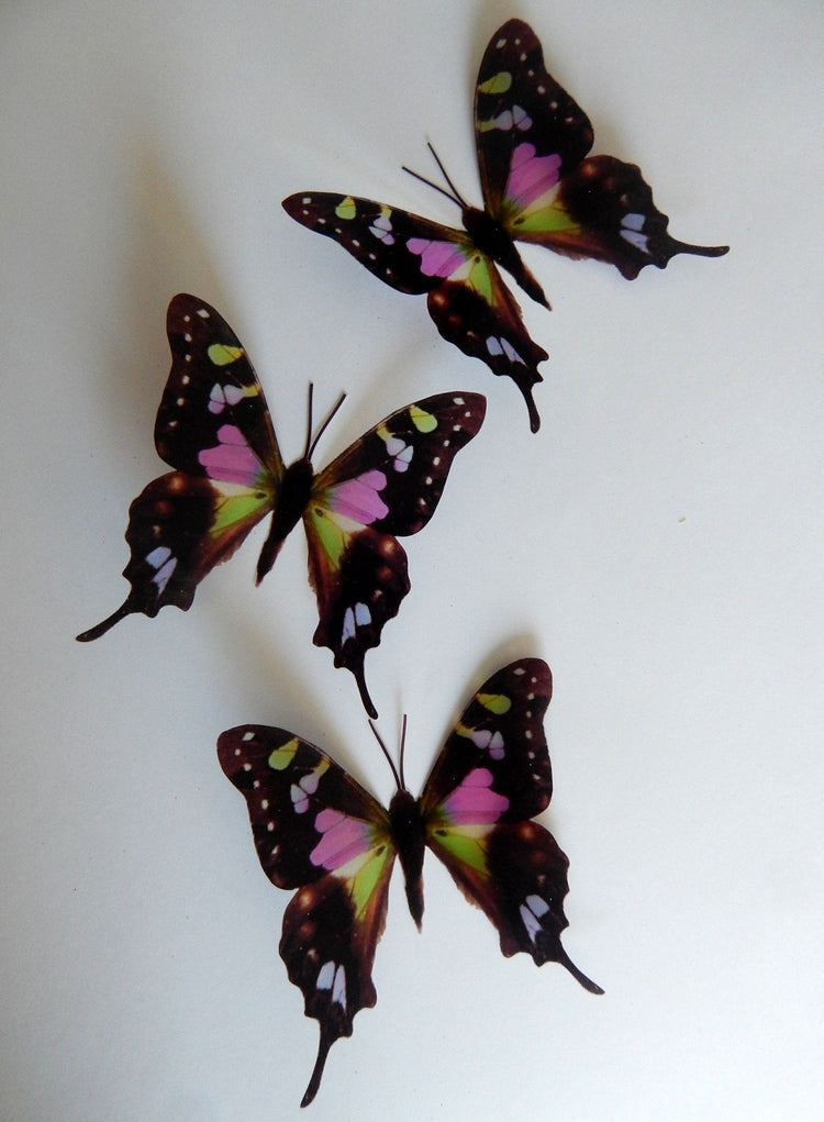 butterfly 3d stickers