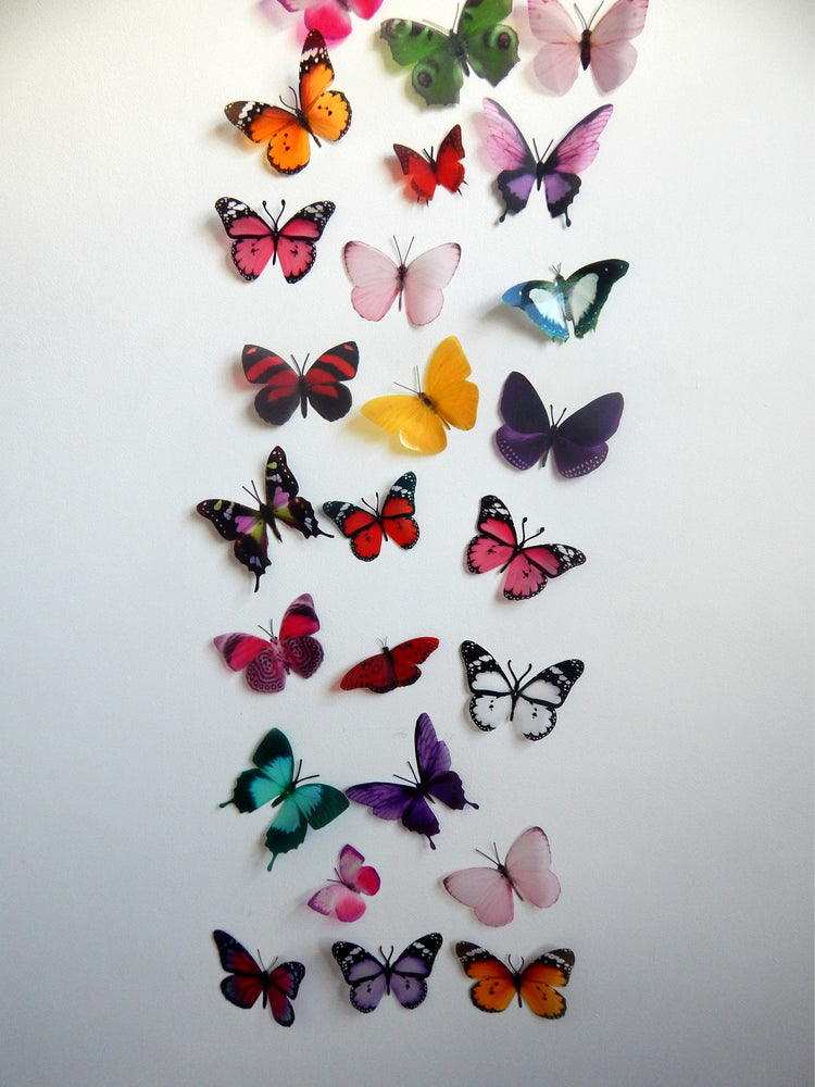 Flutterframes's amazing butterfly collection. As seen in Escape to the Chateau. 50 butterflies