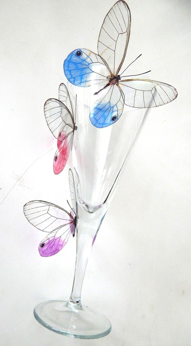 Glass-Winged realistic natural 3D Butterflies