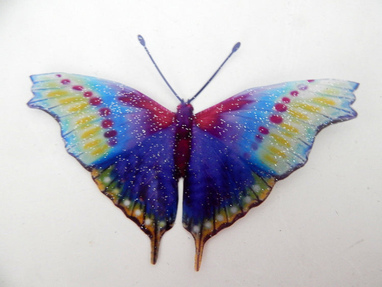 natural butterfly collection Hall Place