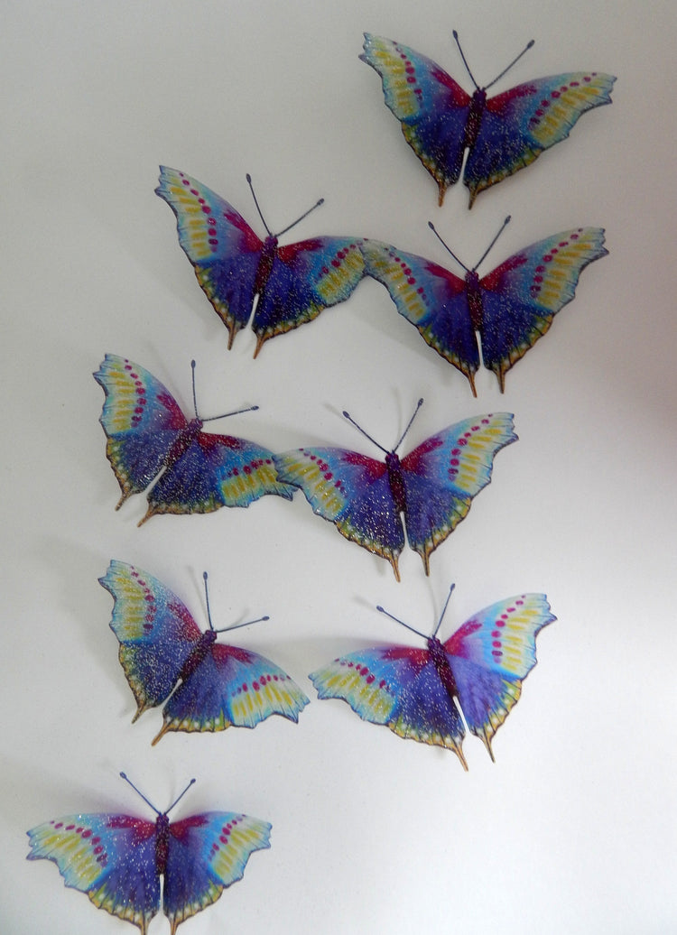 Rainbow natural butterfly collection Hall Place