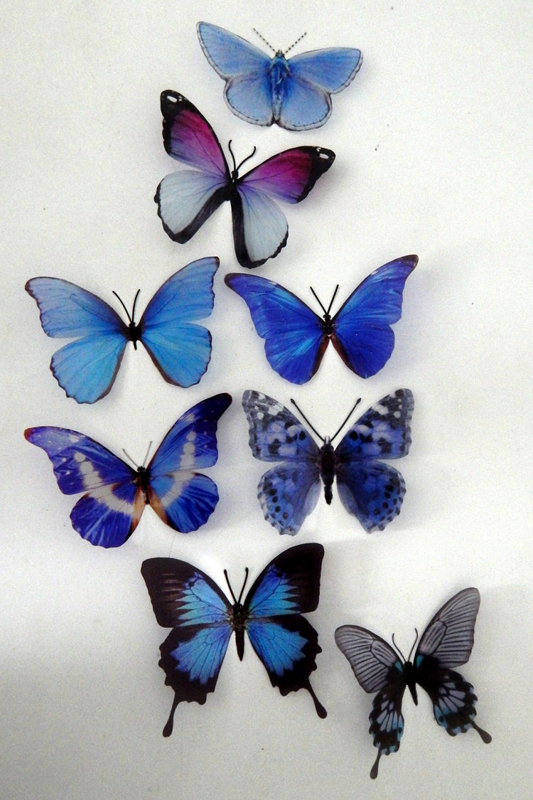 Blue Natural butterflies from our blue collection. 3d Butterfly stickers.