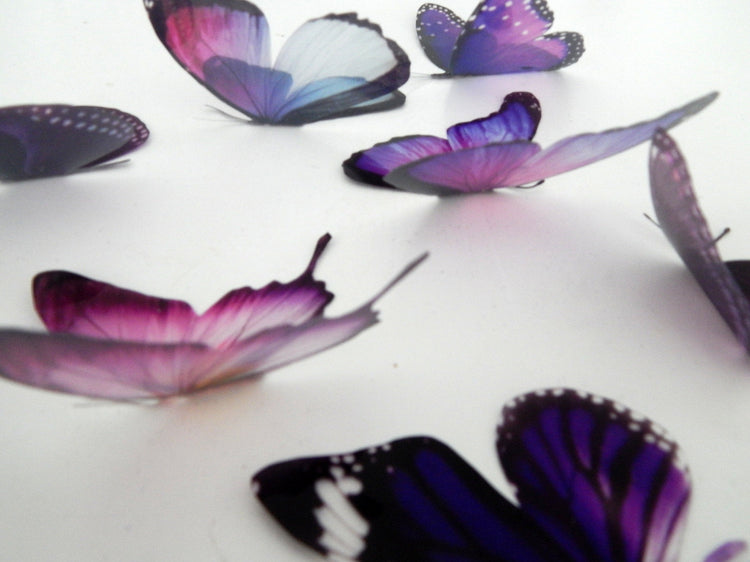 Bespoke purple butterflies from the purple collection,natural,reproduction wall sticker butterflies,caravan indoor decor