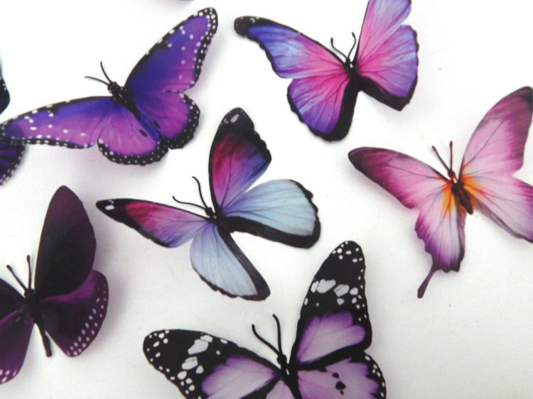 Bespoke purple butterflies from the purple collection,natural,reproduction wall sticker butterflies,caravan indoor decor