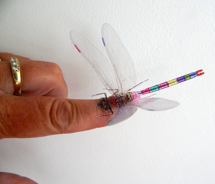 Dragonflies, very pretty 2d glitter wall stickers,for Home Accessories bedroom bedroom,living room,kitchen, Beautiful Dragonflies