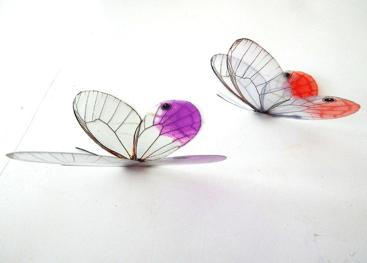 Glass-Winged realistic natural 3D Butterflies