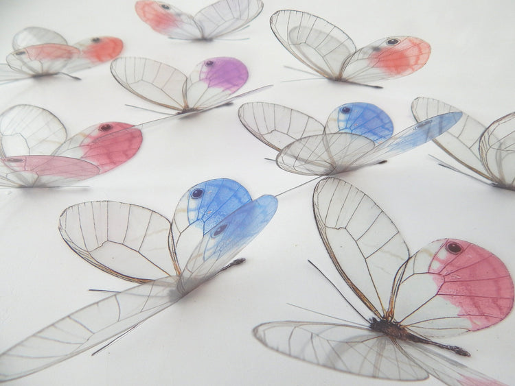 Glass-Winged realistic natural 3D Butterflies