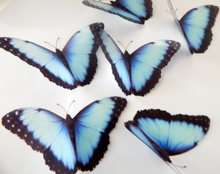 Natural blue 3d butterfly stickers (Mangal) great for around the house, unique decor for any room