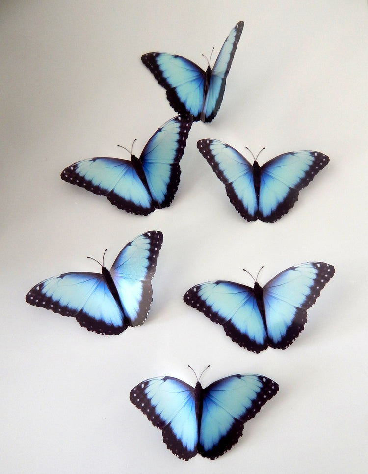 Natural blue 3d butterfly stickers (Mangal) great for around the house, unique decor for any room
