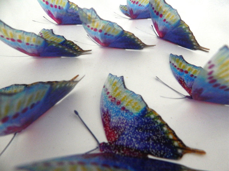 natural multi-coloured butterfly stickers