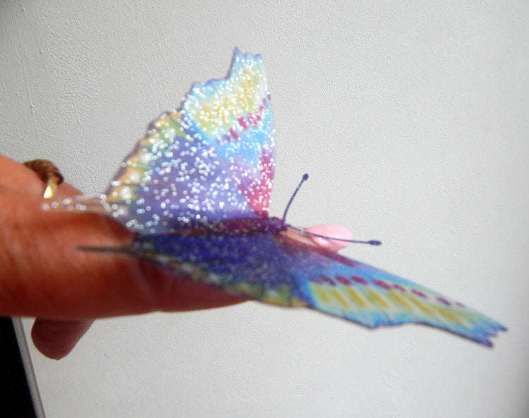 Pretty butterfly