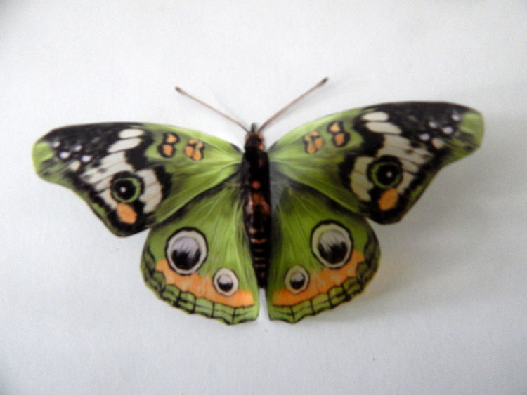 Buckeyed Natural Green butterflies at Hall Place