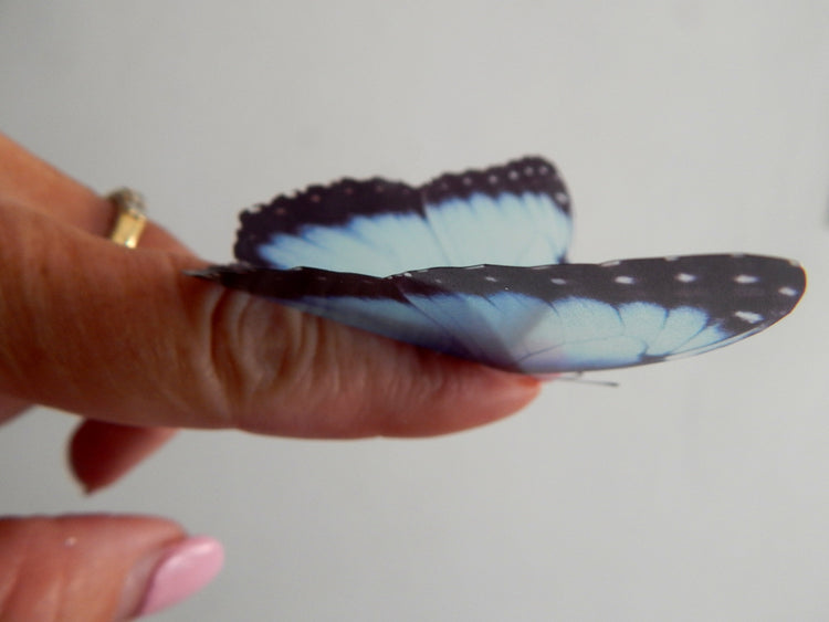 8 natural 3D butterflies,like in Escape to the Chateau, from the Country collection