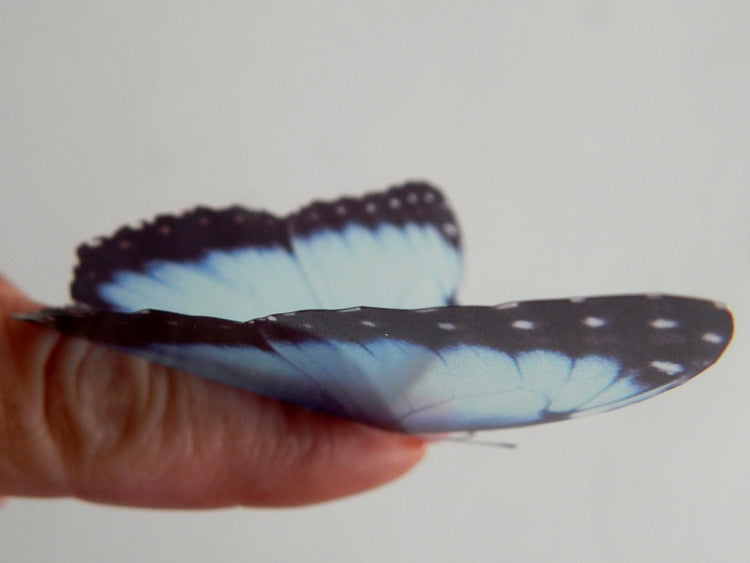 Natural blue 3d butterfly stickers (Mangal) great for around the house, unique decor for any room