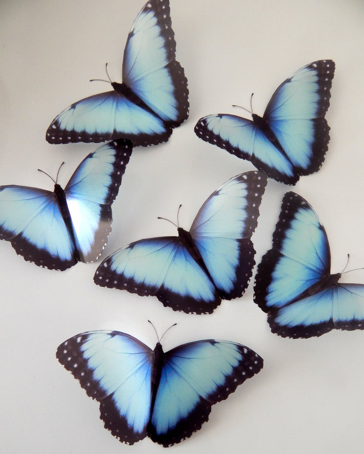 Natural blue 3d butterfly stickers (Mangal) great for around the house, unique decor for any room