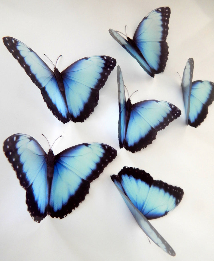 Natural blue 3d butterfly stickers (Mangal) great for around the house, unique decor for any room