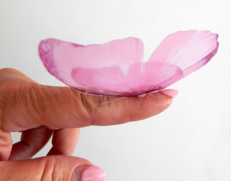 16 Pastel 3d butterflies, wall sticker butterflies, great for girl's bedroom, bathroom room, beauty salon,feature wall decor