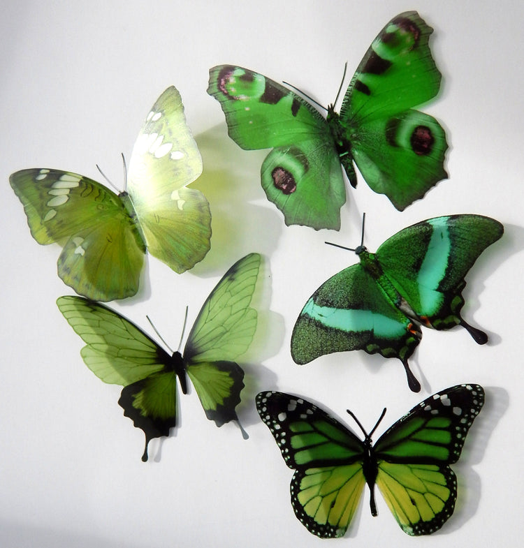 3d butterflies the Green collection, butterfly decor for the wall,conservatory, home,bedroom, lounge,window decorations, vase decor stickers