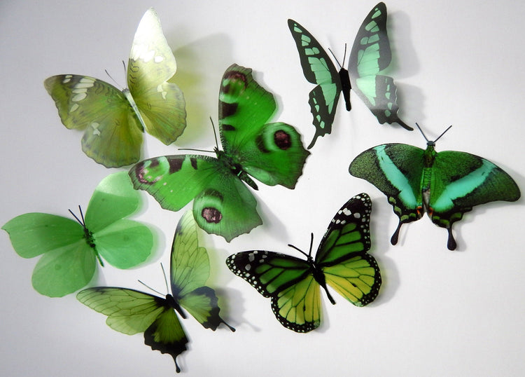 3d butterflies the Green collection, butterfly decor for the wall,conservatory, home,bedroom, lounge,window decorations, vase decor stickers