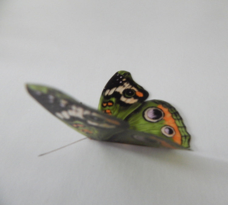 Green butterflies at Hall Place, Bexley