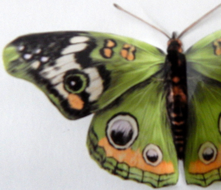 3D Green Buckeye 3D Flying Removable Butterflies Home Decorations Wall Art