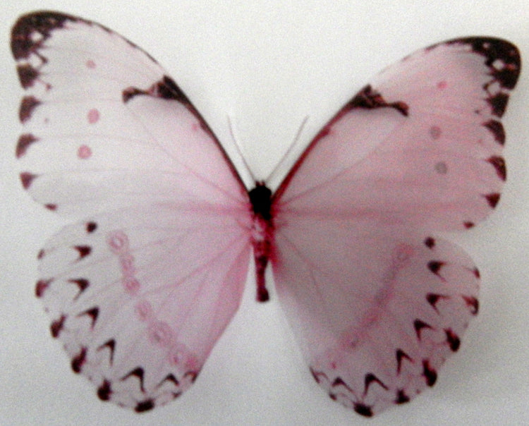 Collection of pink butterflies, 3d butterflies, wall decor, bespoke butterfly wall stickers ,natural critters, conservatory,lounge