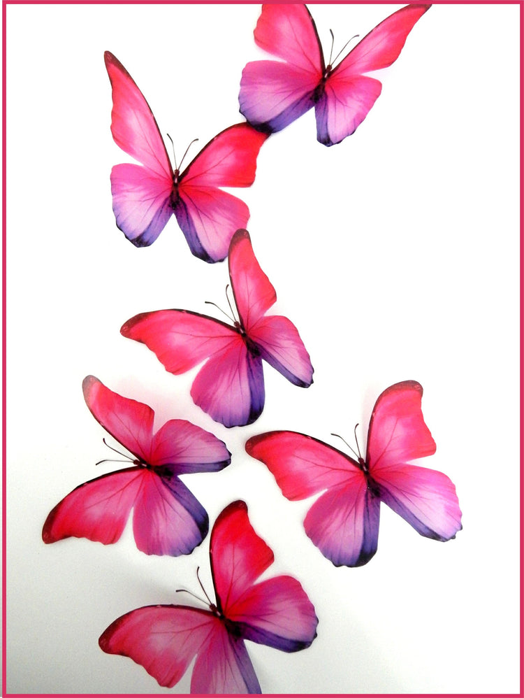 Butterfly Magnet Sets, Butterfly Magnets, Fridge Magnets,Office Magnets,natural butterflies, woodland, butterfly fridge magnets,unusual