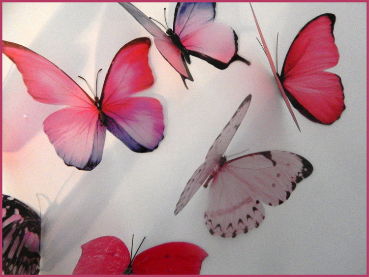 Collection of pink butterflies, 3d butterflies, wall decor, bespoke butterfly wall stickers ,natural critters, conservatory,lounge