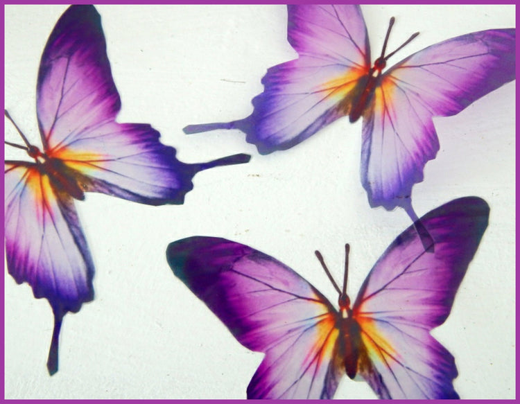 Butterfly Magnet Sets, Butterfly Magnets, Fridge Magnets,Office Magnets,natural butterflies, woodland, butterfly fridge magnets,unusual