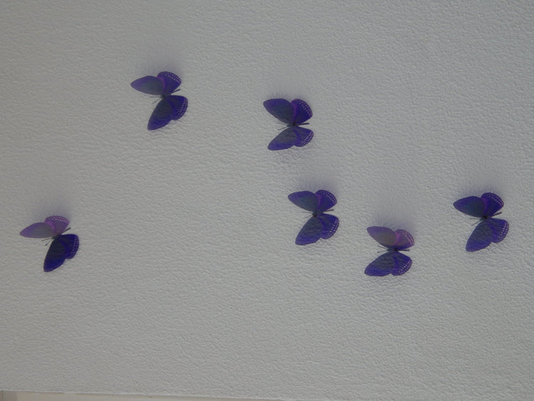 3D Deep Purple butterfly wall stickers , conservatory, picture frames, mirrors,windows,doors,walls
