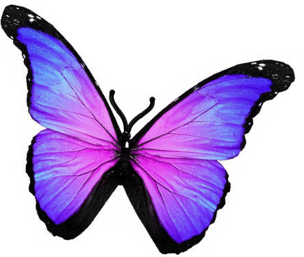 Lilac very pretty wedding butterflies,or any occasion.Removable stickers.Home Decorations,bathroom