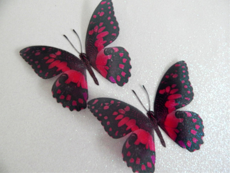 Mariposa 3d natural Butterflies