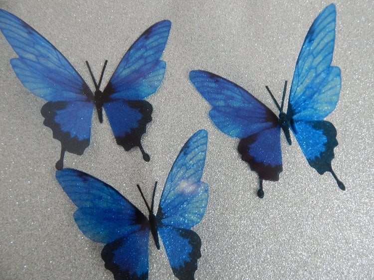 6 3d Blue luxury butterflies