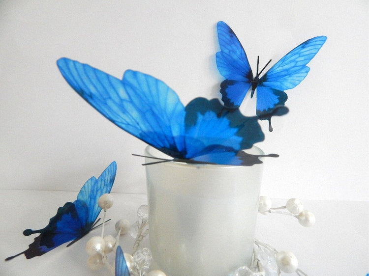 6 3d Blue luxury butterflies