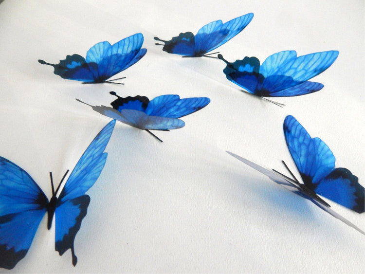 6 3d Blue luxury butterflies