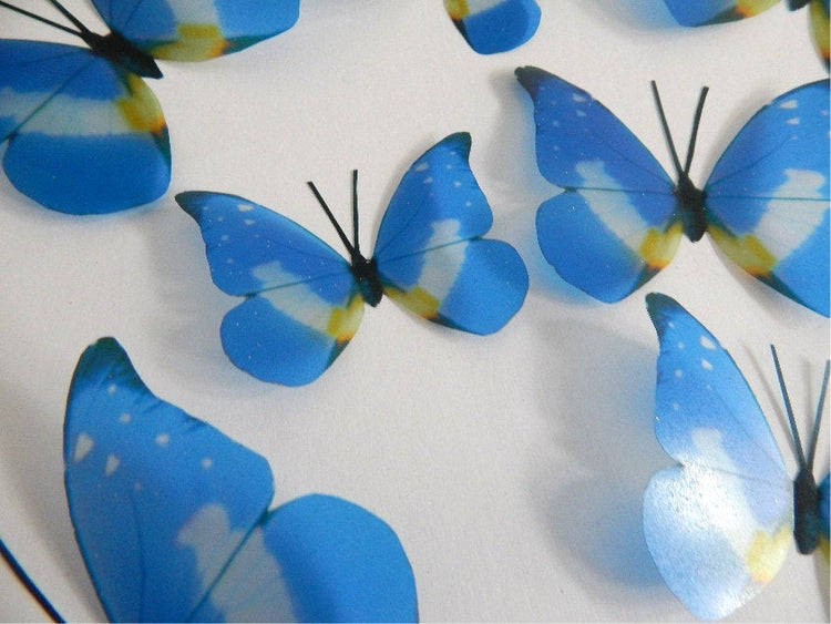Blue reproduction butterflies Blue with a touch of yellow, Luxury Amazing Butterflies 3D Butterfly Wall Art Home Decor,sun catcher
