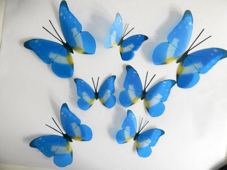 blue and yellow natural butterflies