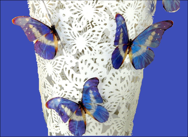Blue butterfly for the wall 3d Natural Butterfly wall sticker