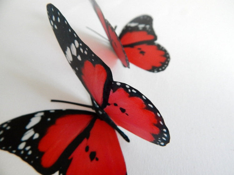 Scarlet red butterfly stickers by flutterframes