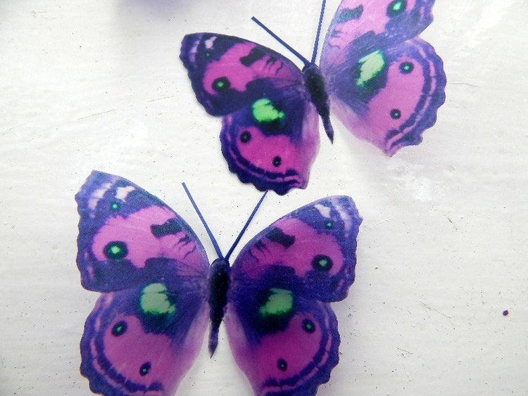6 purple, lime green spotted 3D butterflies flying wall