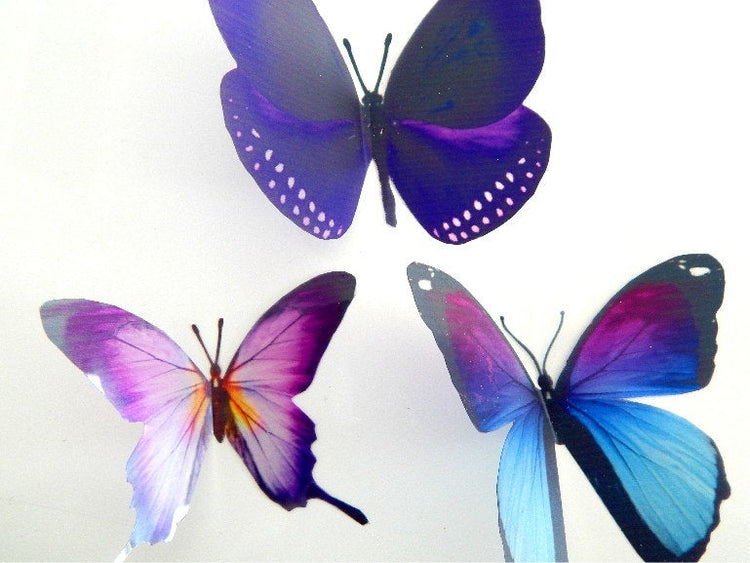 Bespoke purple butterflies from the purple collection,natural,reproduction wall sticker butterflies,caravan indoor decor
