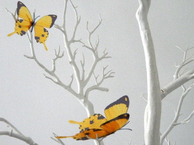 yellow and black butterfly sticker