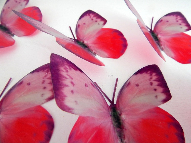 Wall decor,6 Butterflies pink and purple natural wall art in flight flying butterflies,nursery decor, wall decor,birthday gift for her,mom,mum