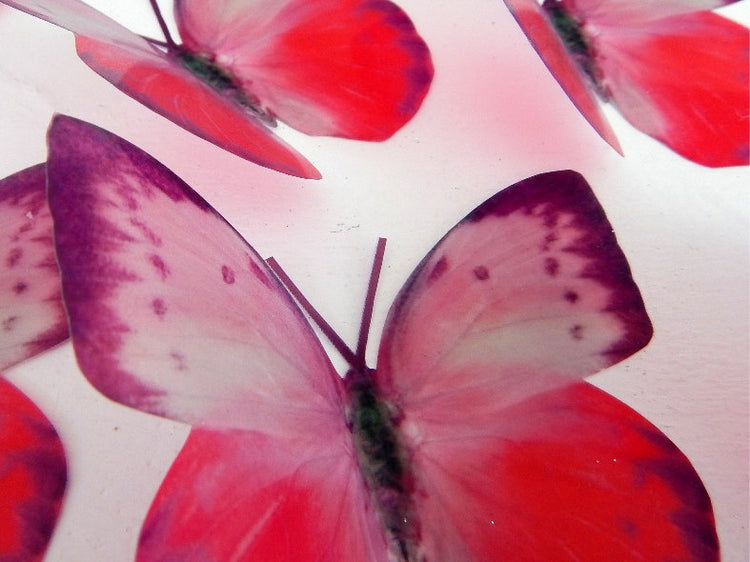 Wall decor,6 Butterflies pink and purple natural wall art in flight flying butterflies,nursery decor, wall decor,birthday gift for her,mom,mum