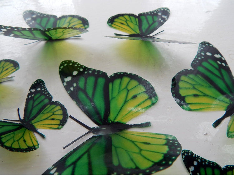 Natural Green butterflies collection