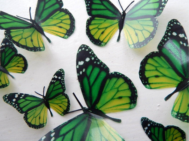 Green butterflies at Hall Place, Bexley